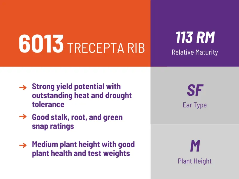 6013 TRECEPTA RIB 113 RM