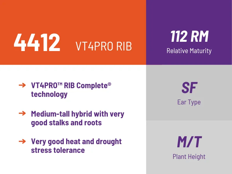 4412 VT4PRO RIB 112 RM