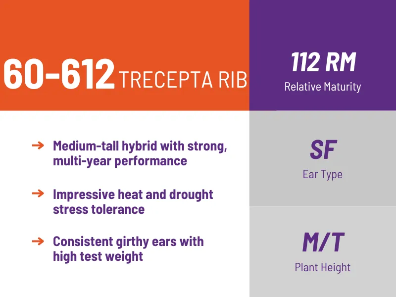 60-612 TRECEPTA RIB 112 RM